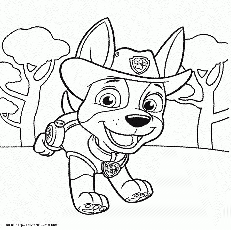 Paw Patrol Printable Coloring Sheets Tracker COLORING PAGES 