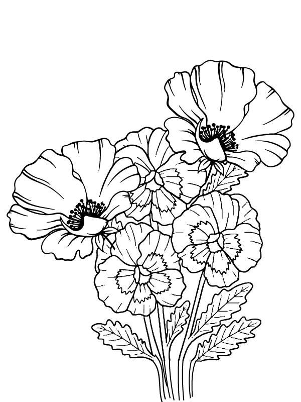 Petunia Flower Printable