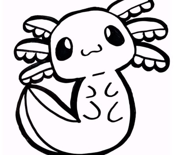 Pin On Charlotte
