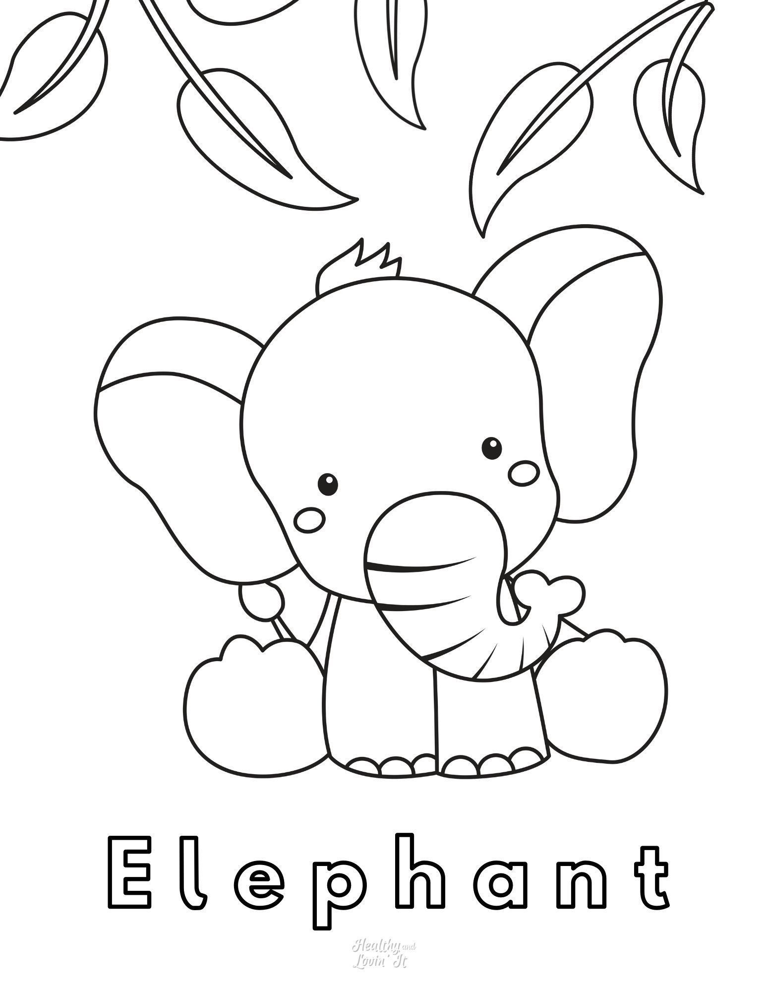 printable coloring page elephant printable coloring page elephant