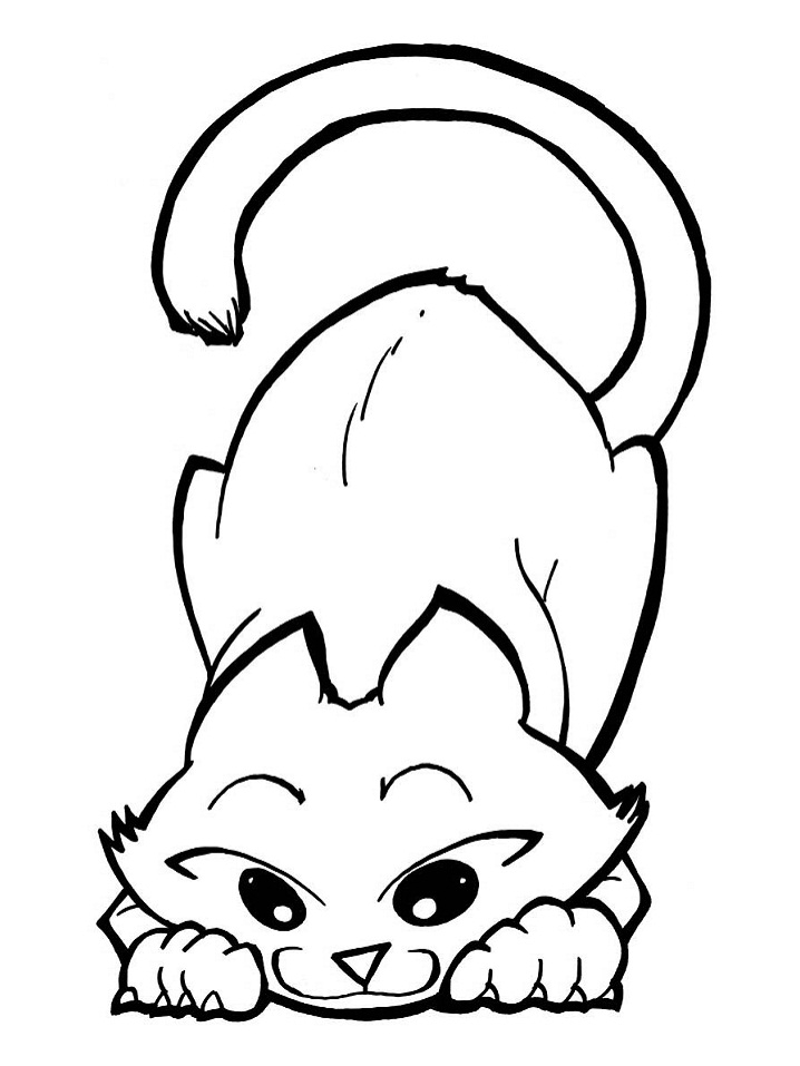 Playful Kitten Coloring Page Free Printable Coloring Pages For Kids Playful Kitten Coloring Page Free Printable Coloring Pages For Kids