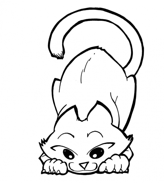Playful Kitty Coloring Page ColouringPages