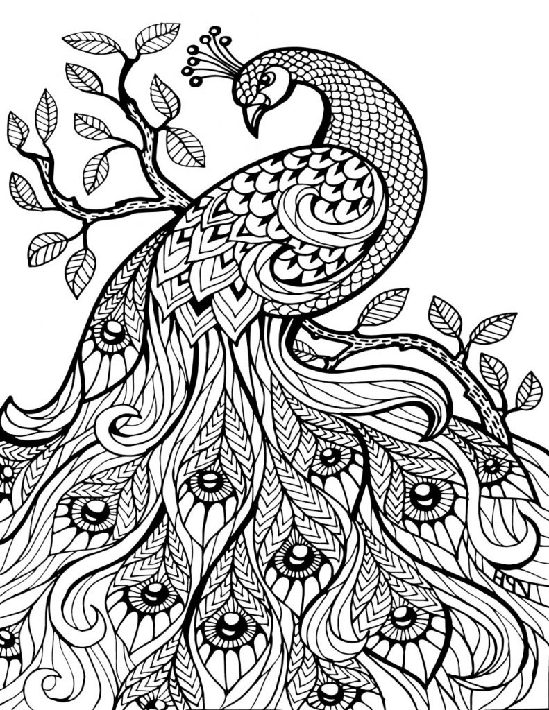 Pretty Coloring Pages At GetDrawings Free Download Pretty Coloring Pages At GetDrawings Free Download