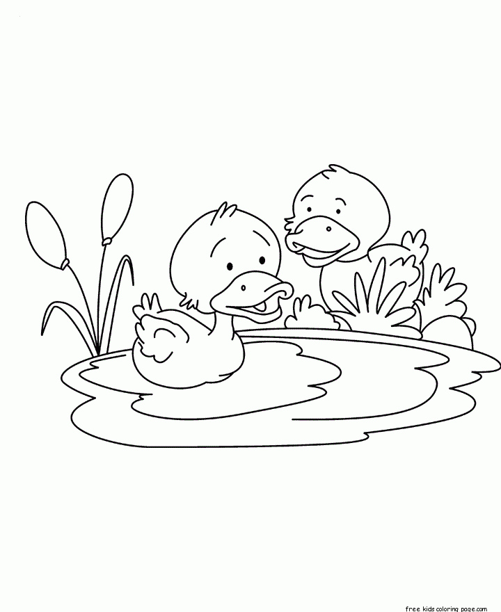 Printable Baby Duck Coloring Pages For Kids Free Kids Coloring Page Printable Baby Duck Coloring Pages For Kids Free Kids Coloring Page