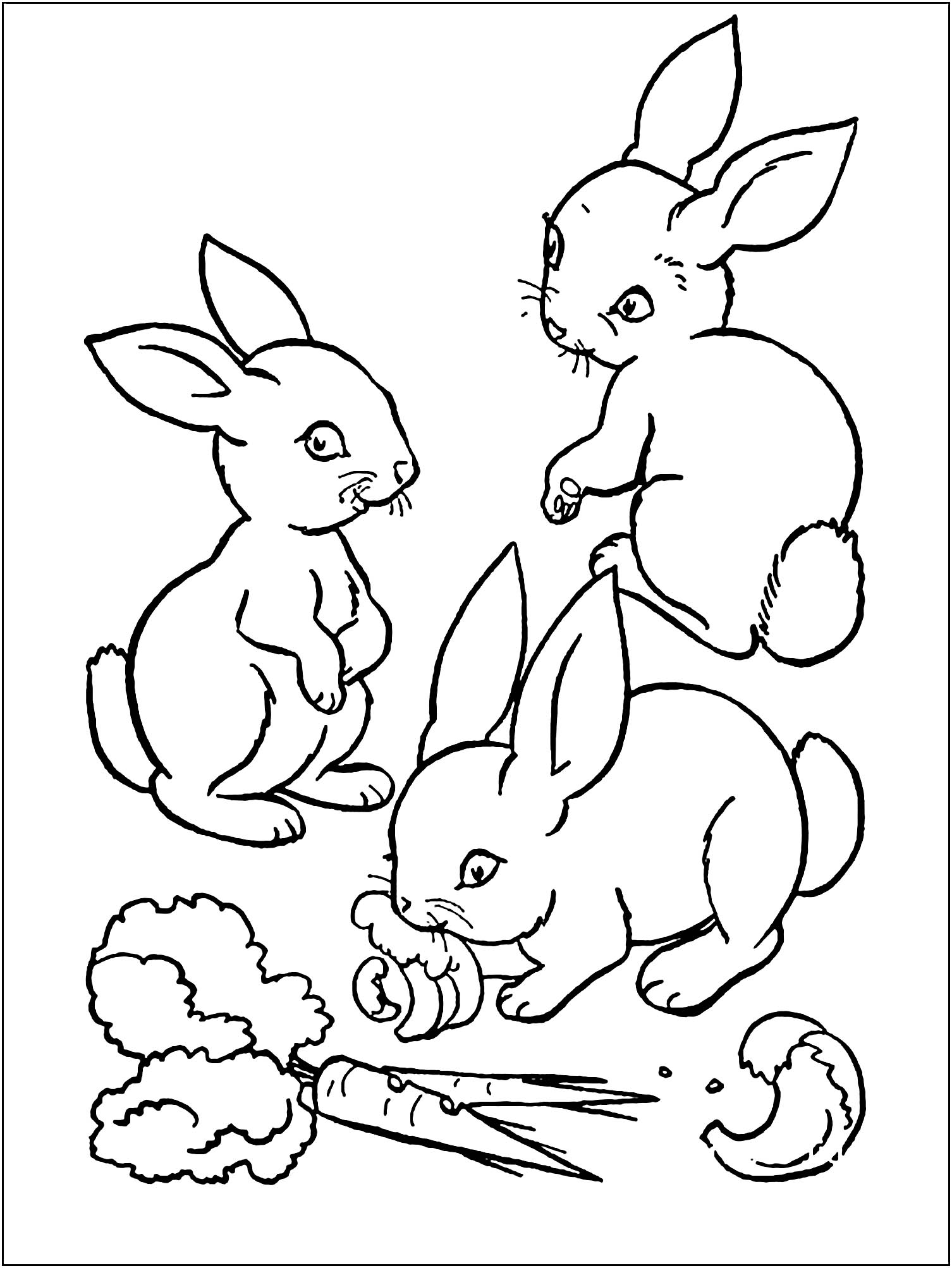 Printable Bunnies Coloring Page For Kids Rabbit Bunny Coloring Pages