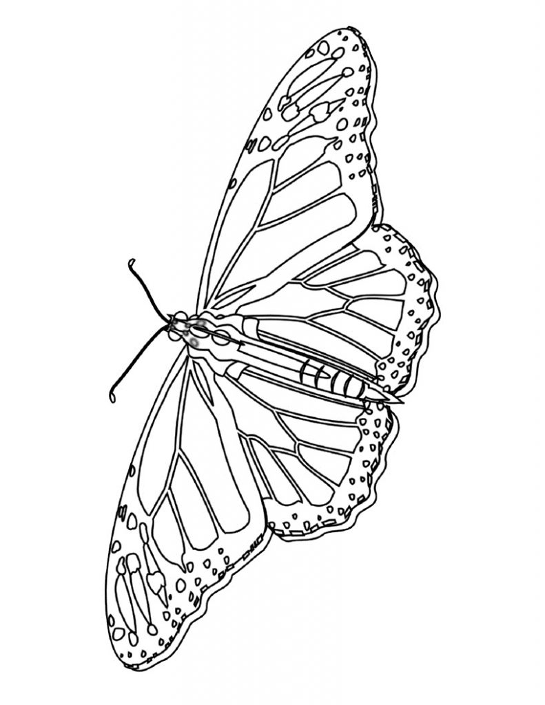 Printable Coloring Page Of Butterfly Printable Coloring Page Of Butterfly