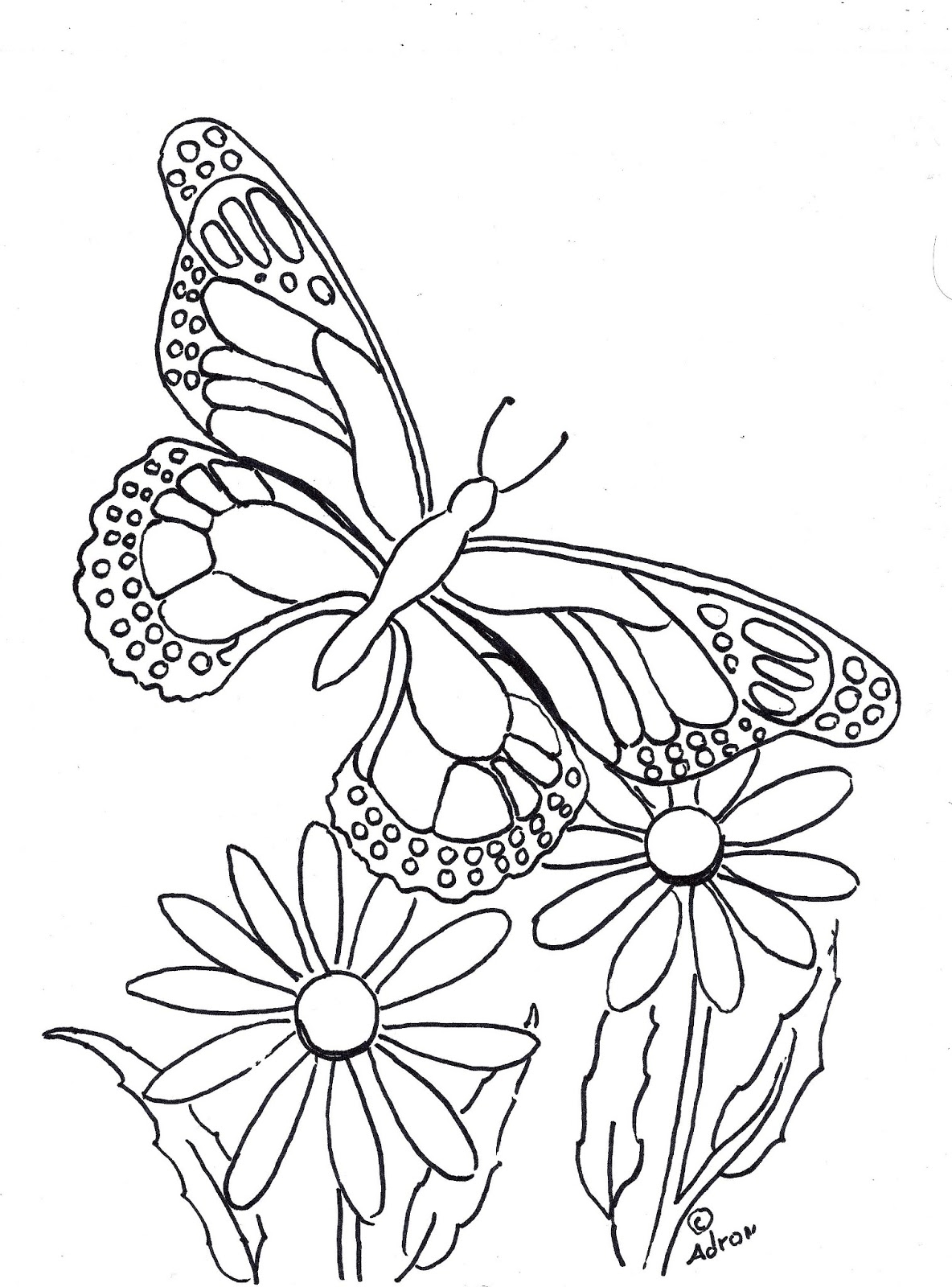 Printable Butterfly Coloring Pages Printable Butterfly Coloring Pages