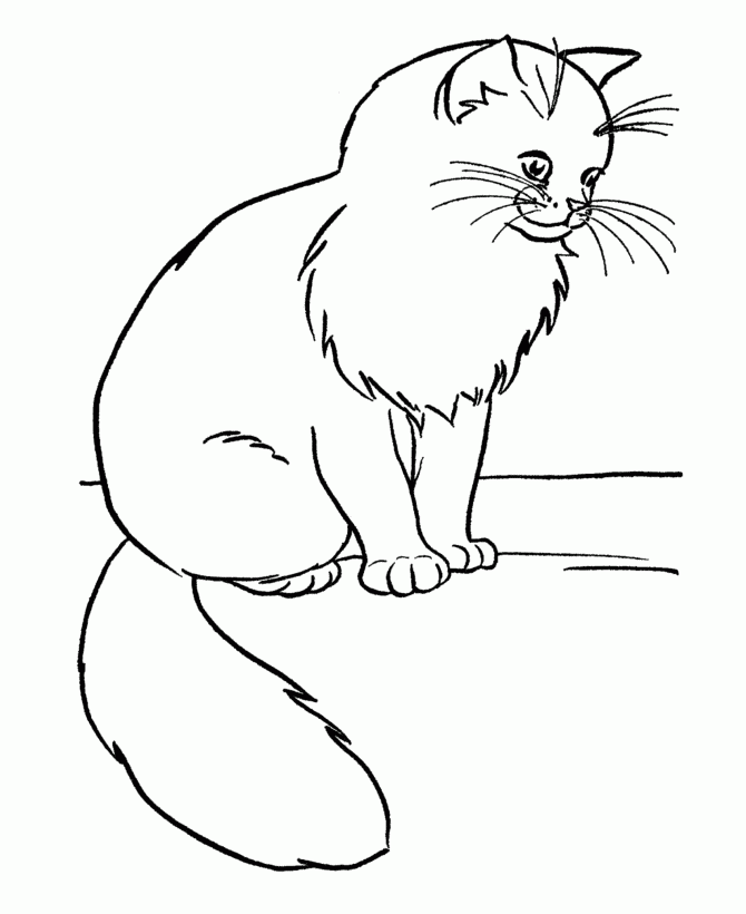 free printable cat coloring sheet
