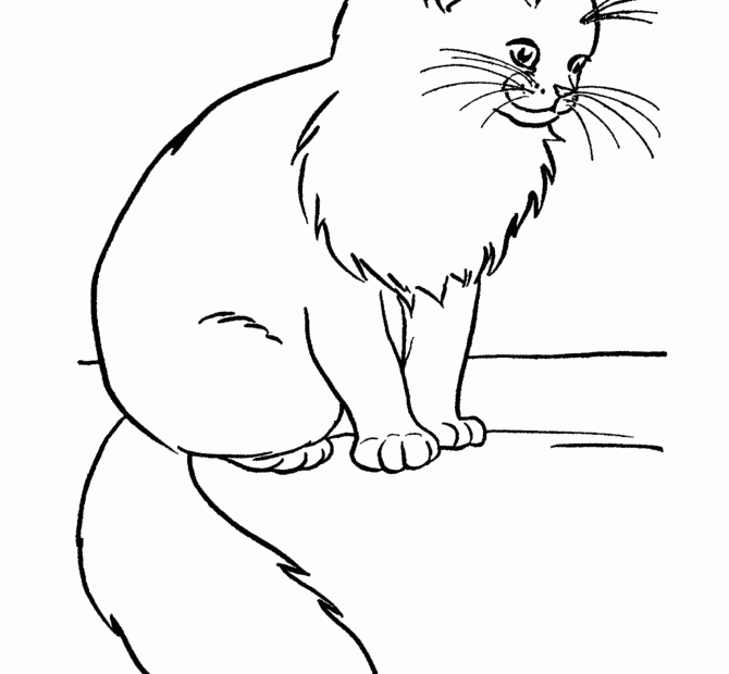 Printable Cat Coloring Sheets