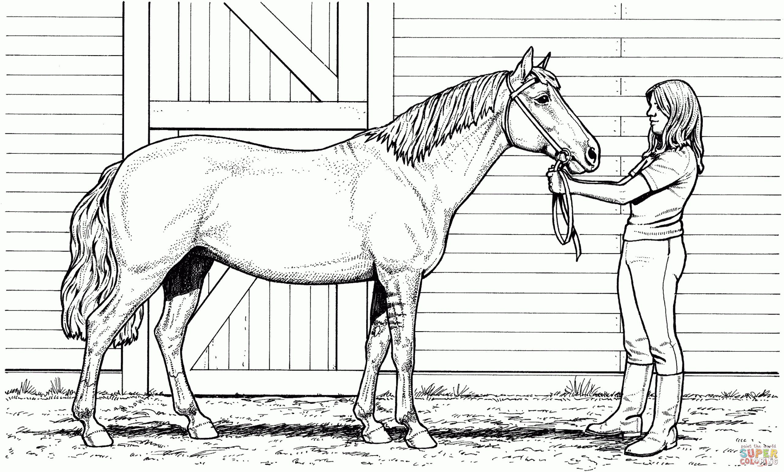 free printable horse color pages