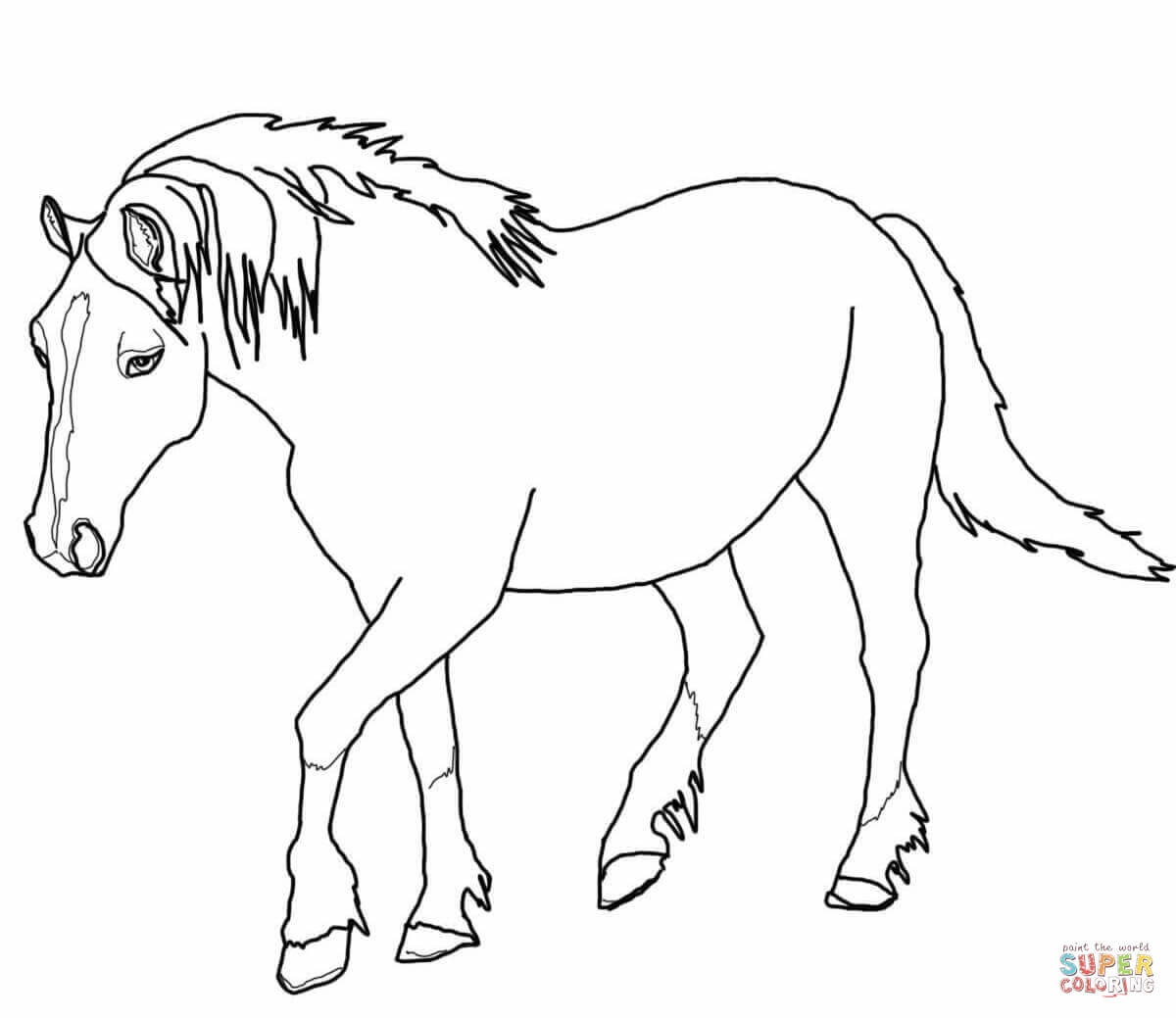 horse pictures to colour printable