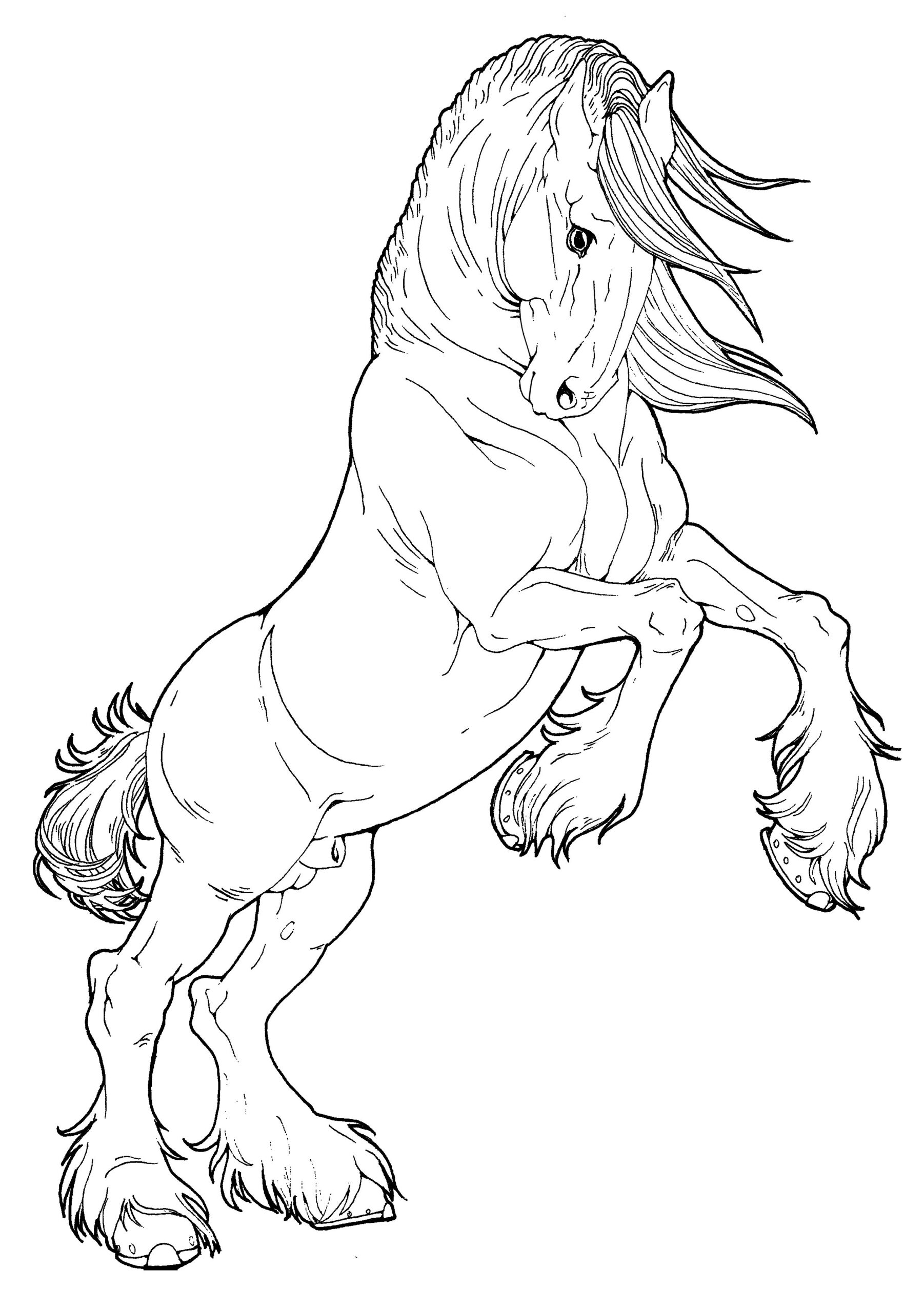 Printable Coloring Pages Horses Printable Coloring Pages Horses