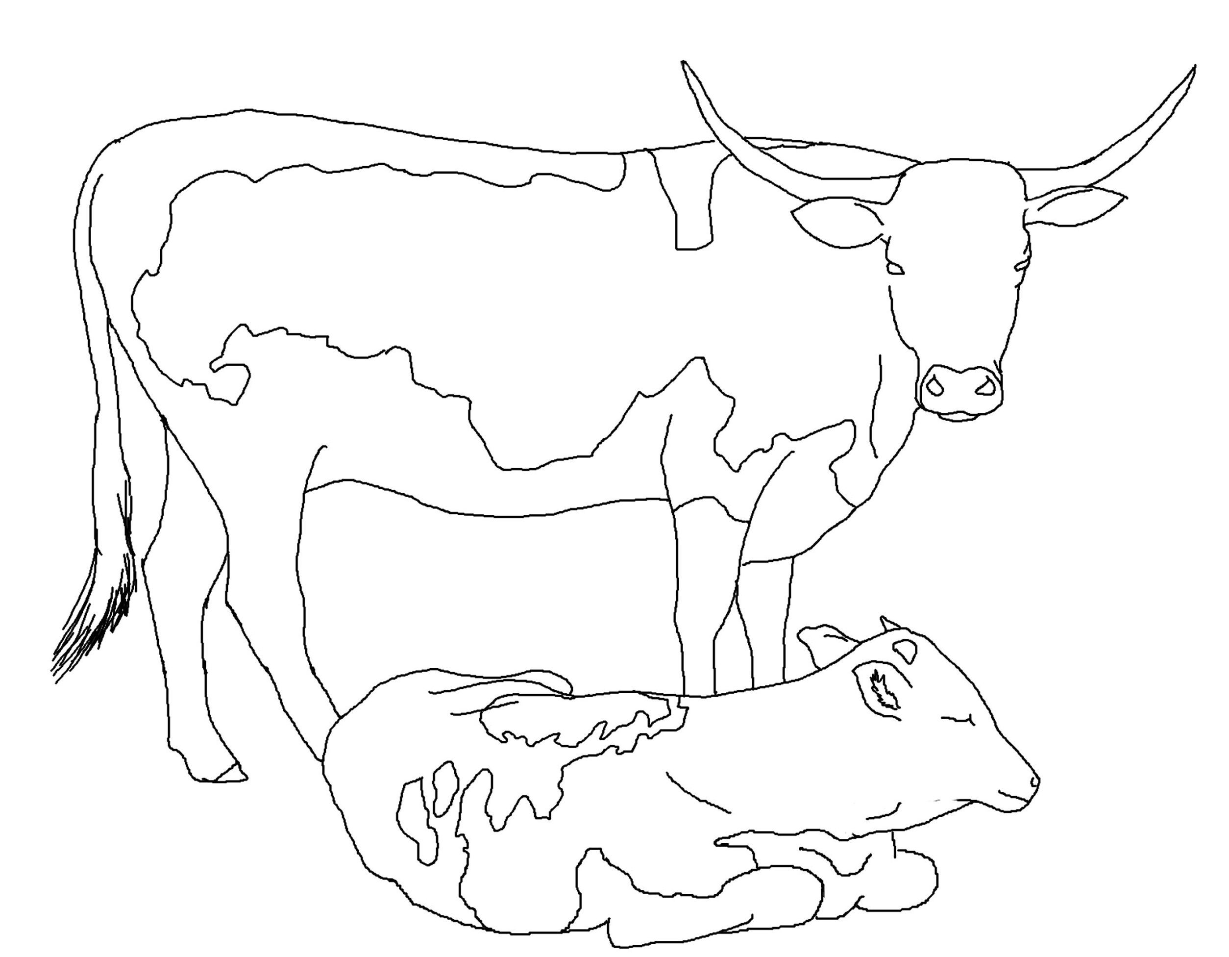 Printable Coloring Pages Of Cows Warehouse Of Ideas Printable Coloring Pages Of Cows Warehouse Of Ideas