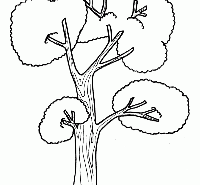 Printable Coloring Pages Trees Coloring Home