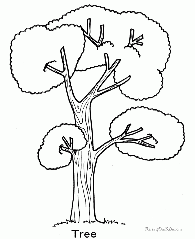 Printable Coloring Pages Trees Coloring Home