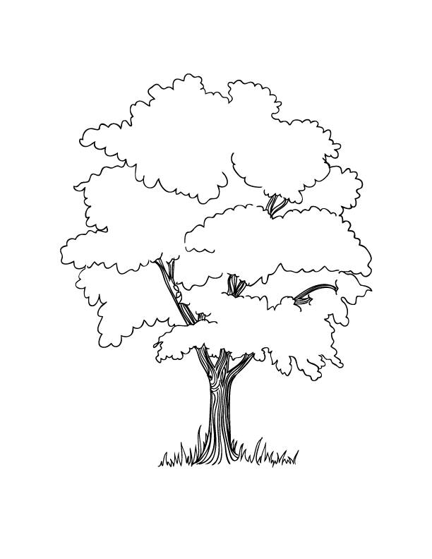 Printable Coloring Pages Trees Coloring Home