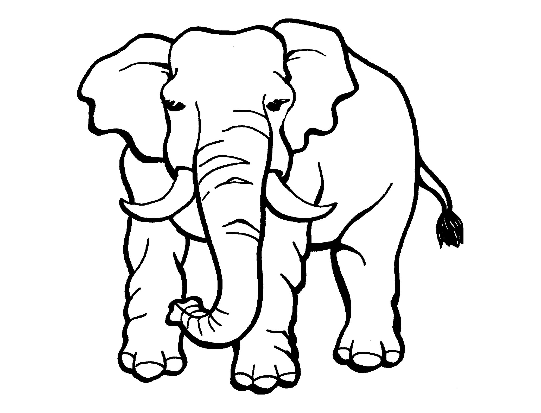 printable coloring pages elephants printable coloring pages elephants
