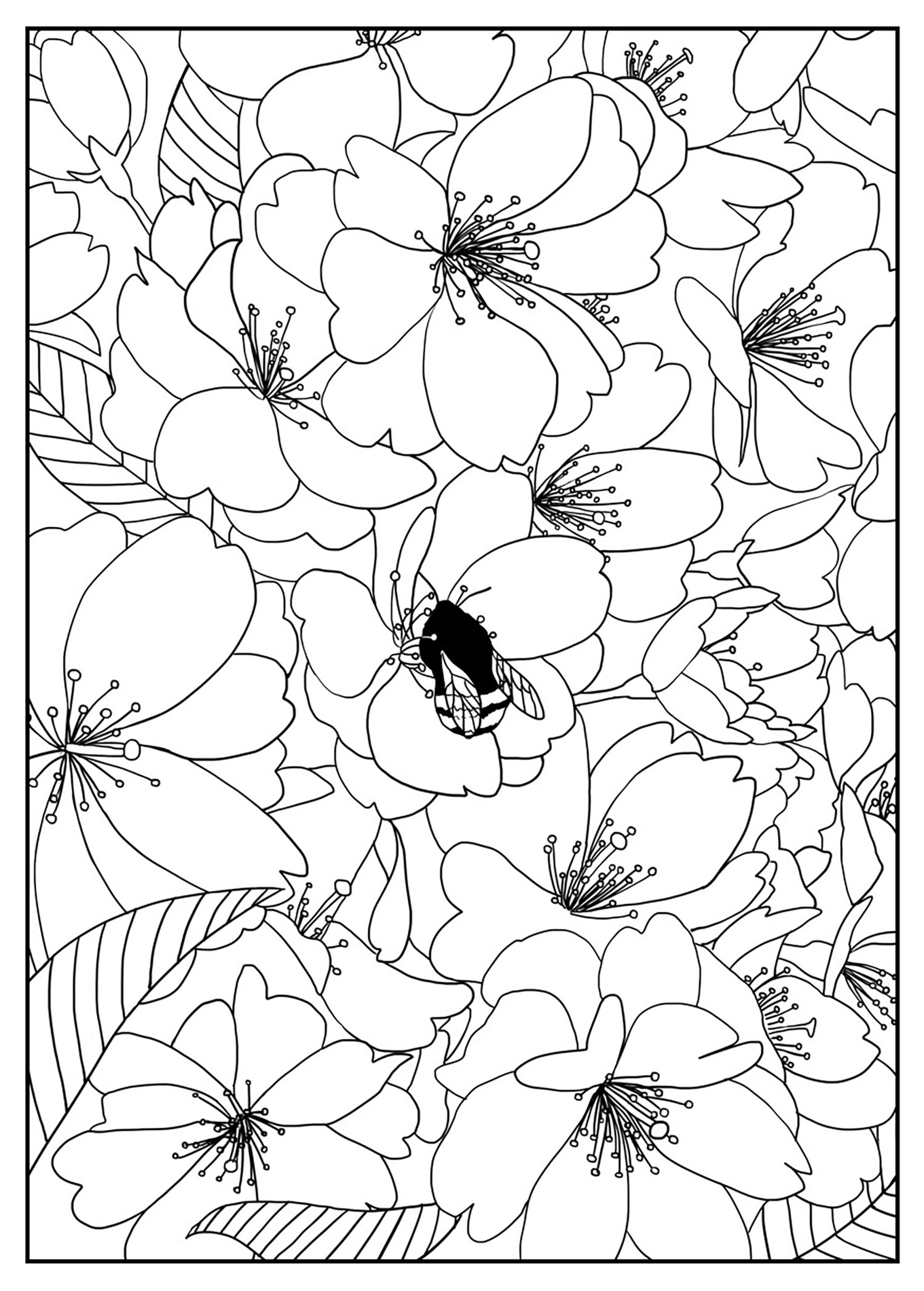 free printable flower color sheets