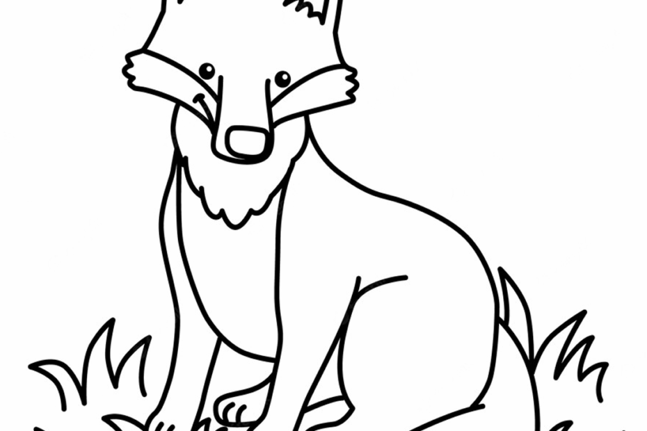 Printable Fox Color Page Free Printable Coloring Pages