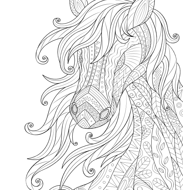 Printable Horse Adult Coloring Page