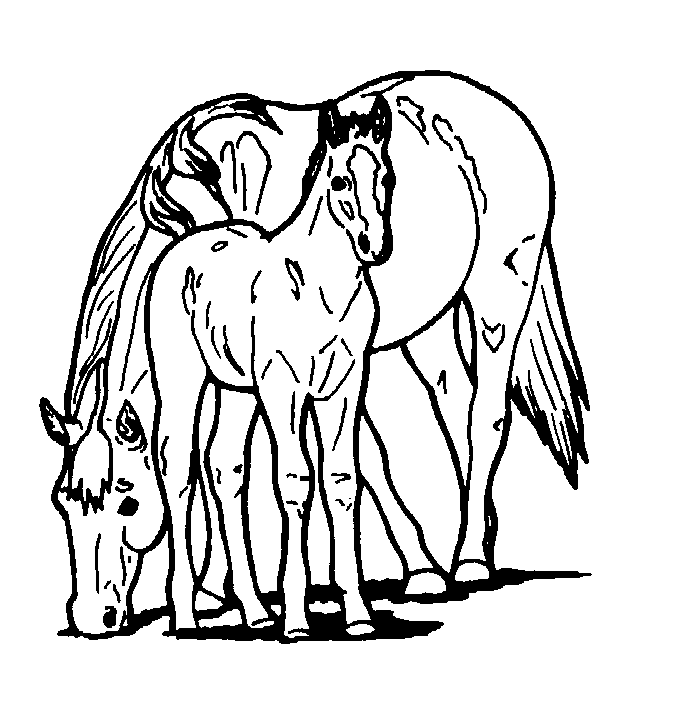 Printable Horse Head ClipArt Best