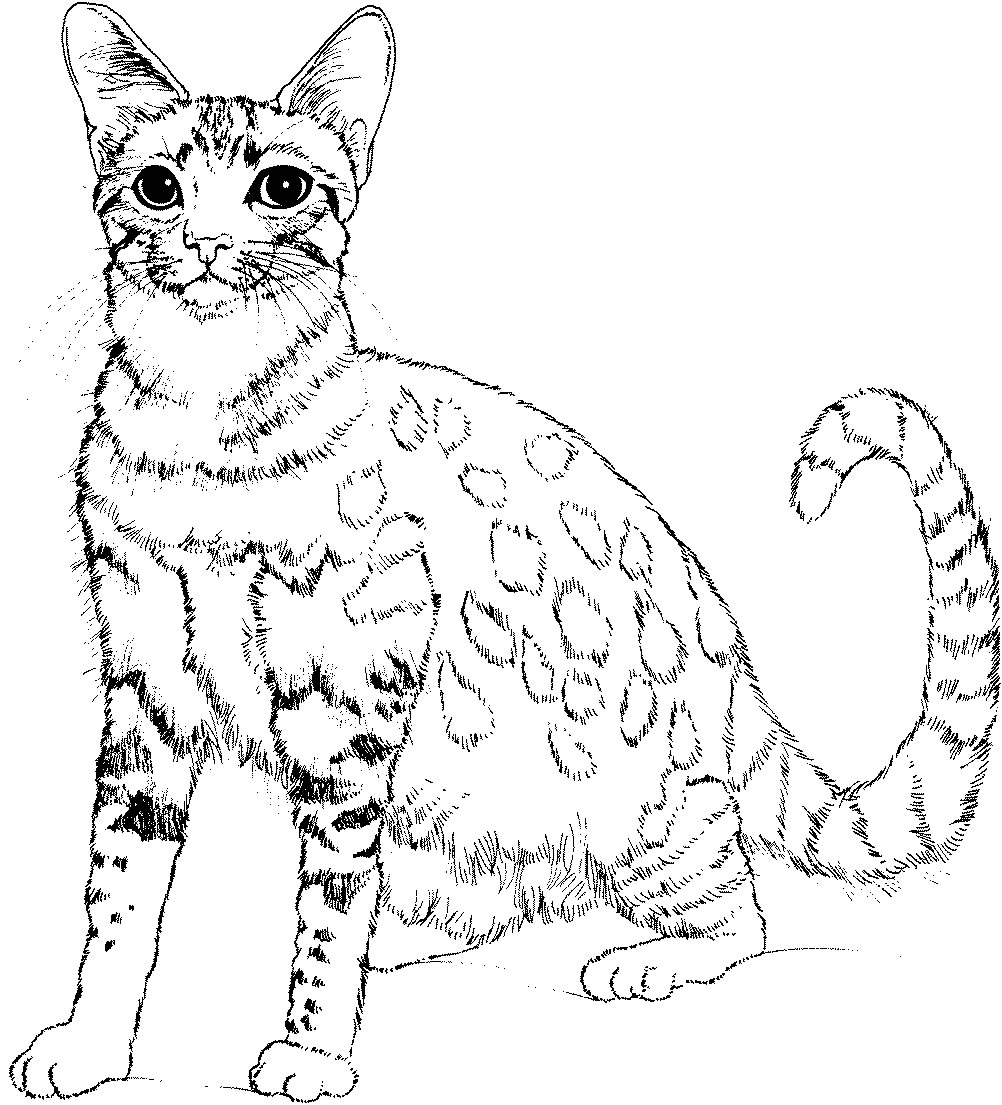 Printable Kawaii Cat Coloring Pages Octaste