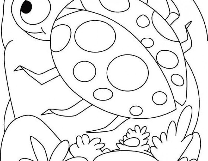 Printable Ladybug Coloring Pages Coloring Home