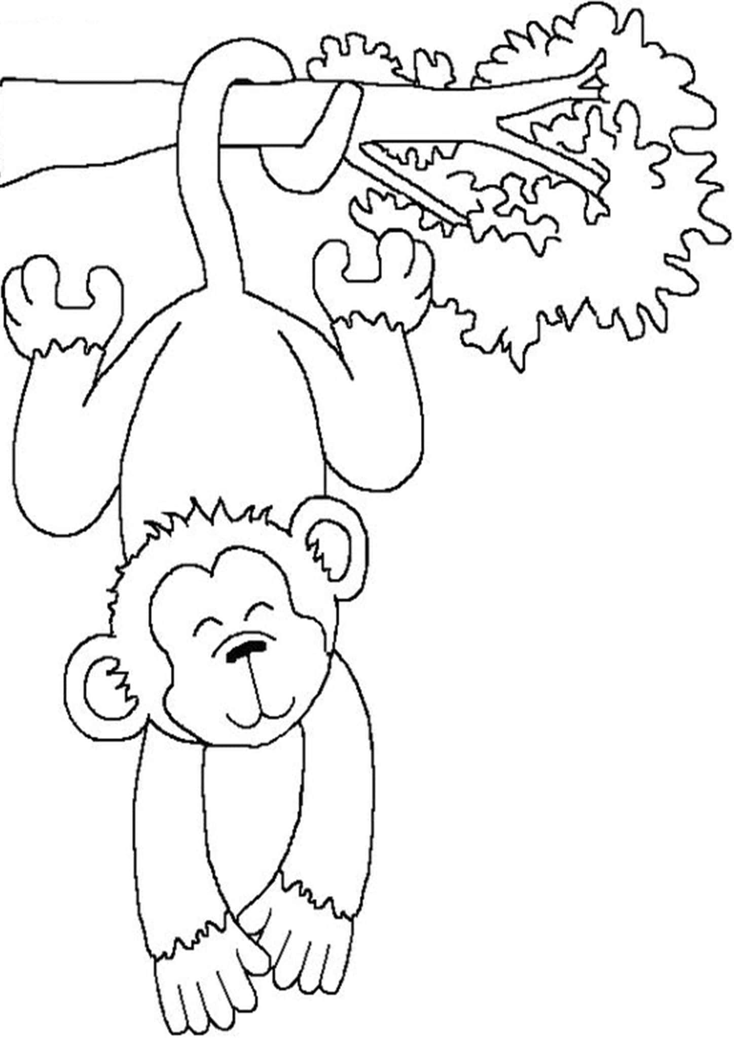 printable pictures of monkey