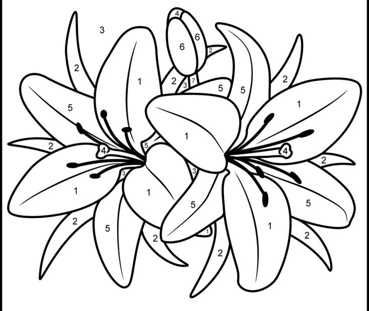 Printable Paint By Number Coloring Pages Flowers Design