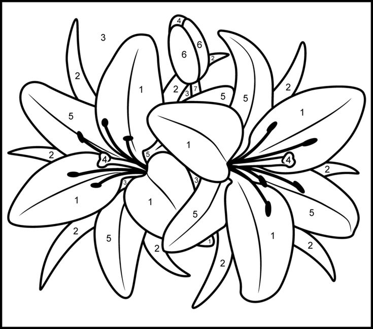 Printable Paint By Number Coloring Pages Flowers Design