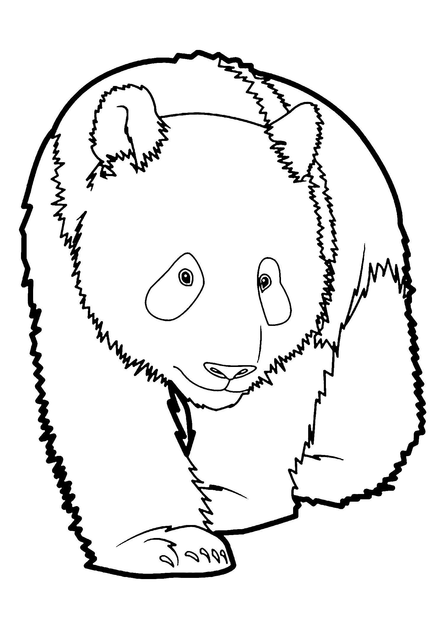 free printable panda coloring sheets