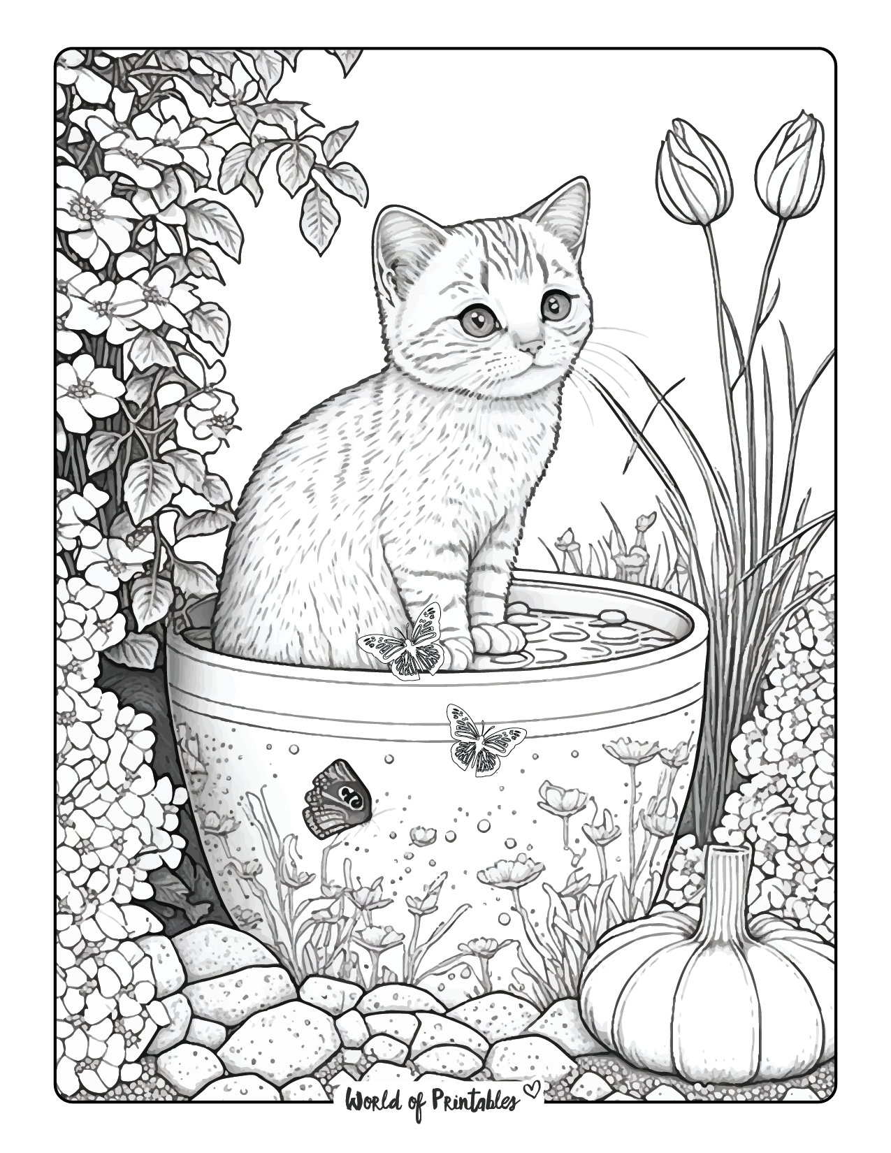 real cat coloring pages printable