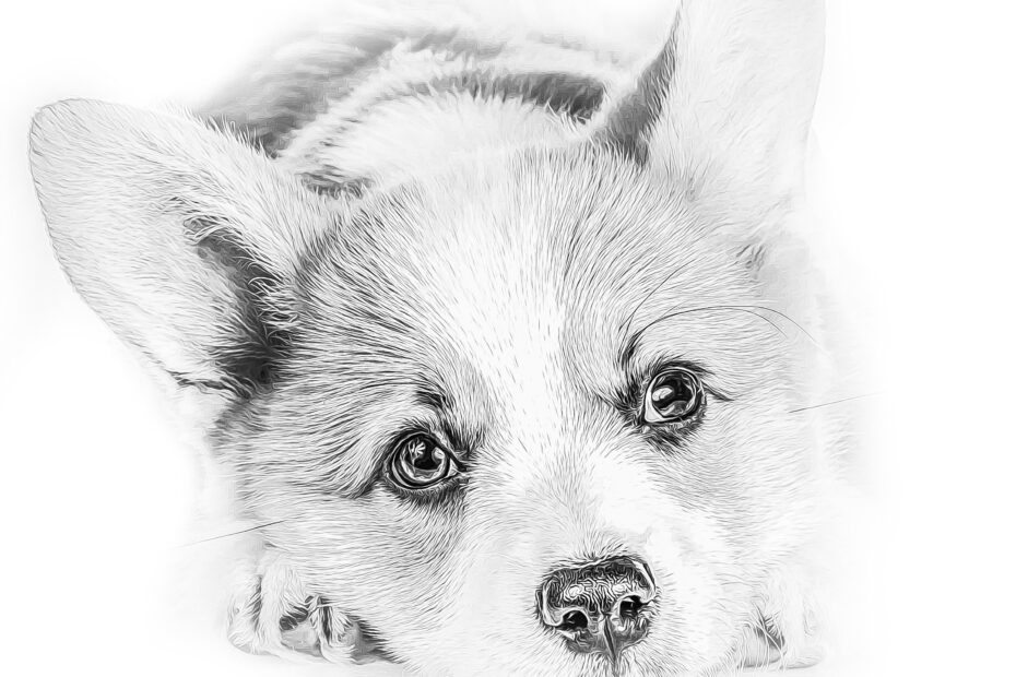 Printable Realistic Dog Coloring Pages Vrogue co