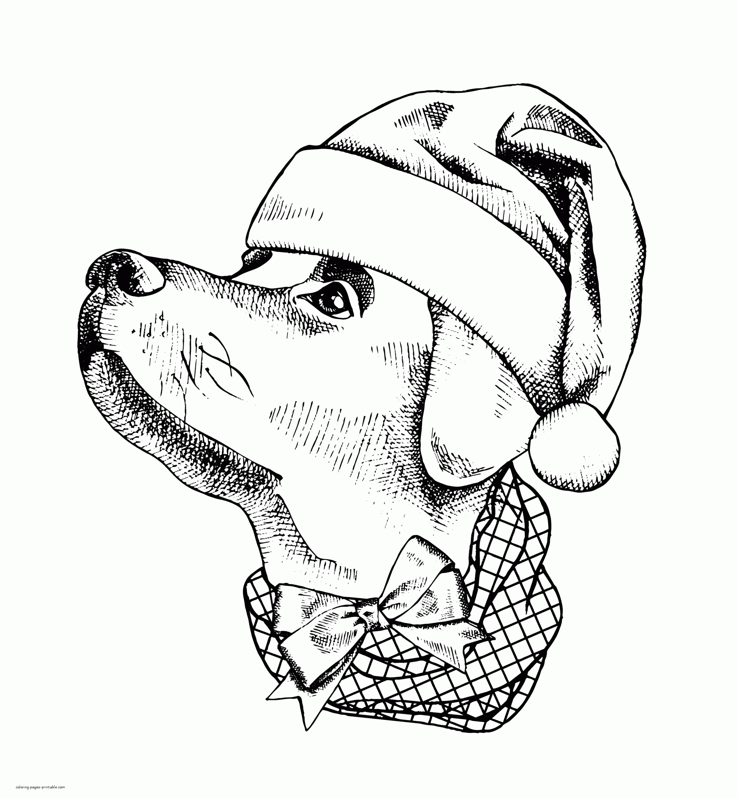 Printable Realistic Dog Coloring Pages Vrogue co