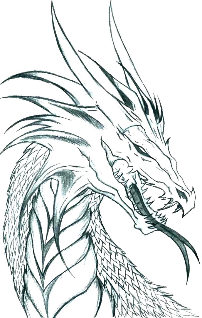 Printable Realistic Dragon Coloring Pages Printable Calendar