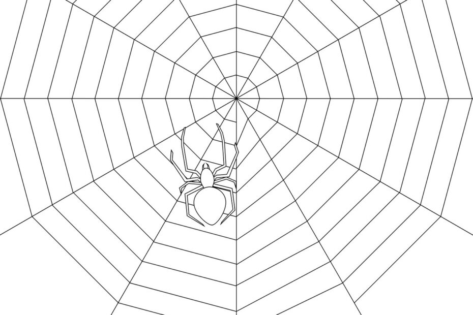 Printable Spider Colouring Pages Coloring Spider Web Printable Spiders