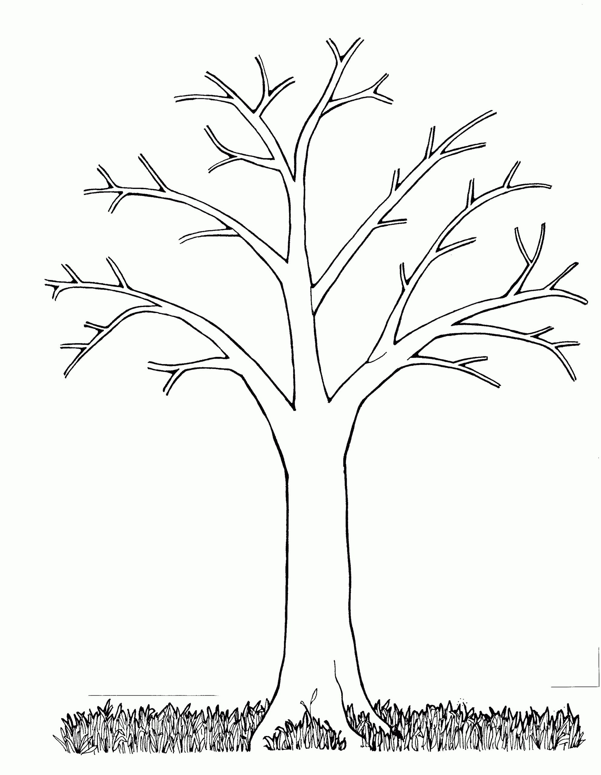 Printable Tree Template Coloring Home