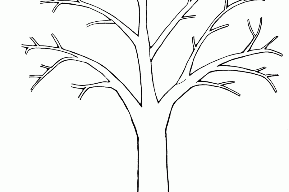 Printable Tree Template Coloring Home