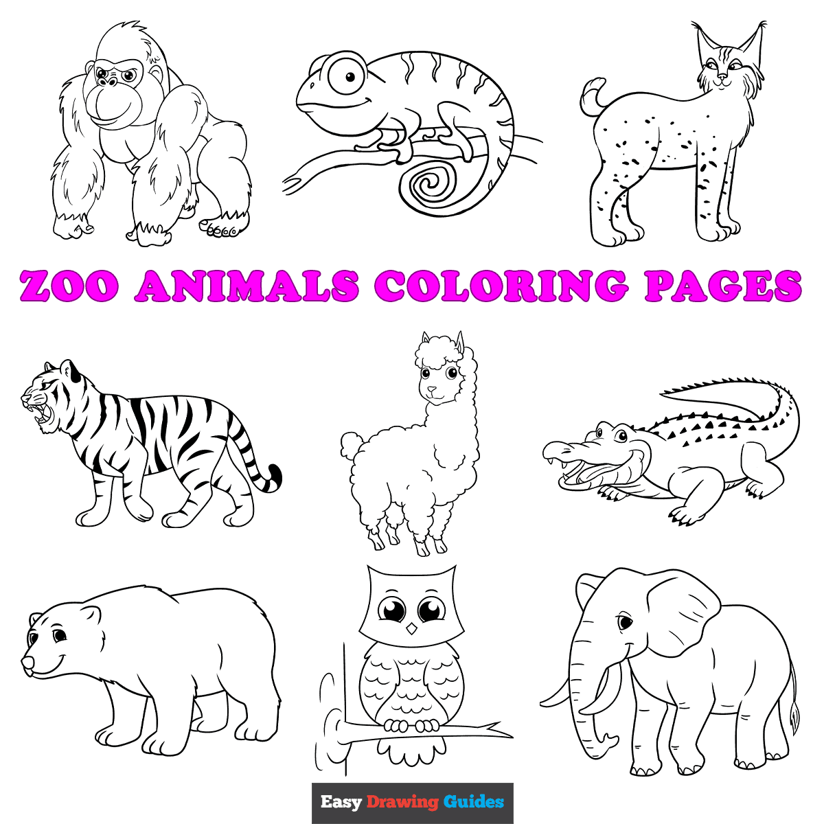 free printable animal coloring pictures