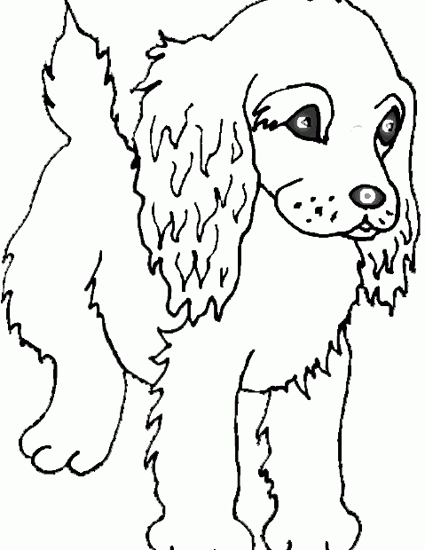 Puppy Colouring Sheets Puppy Colouring