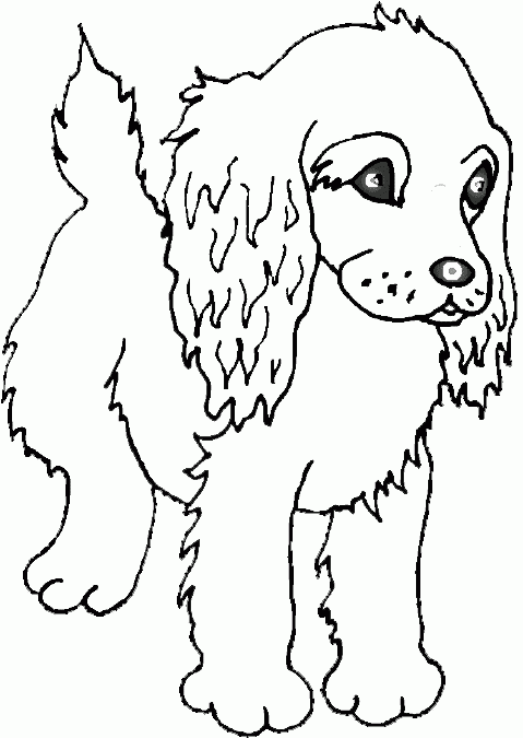 Puppy Colouring Sheets Puppy Colouring Puppy Colouring Sheets Puppy Colouring