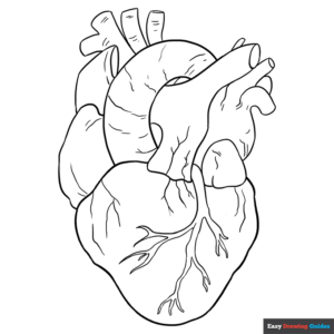Real Human Heart Coloring Pages Free Coloring Sheets Heart My XXX Hot 