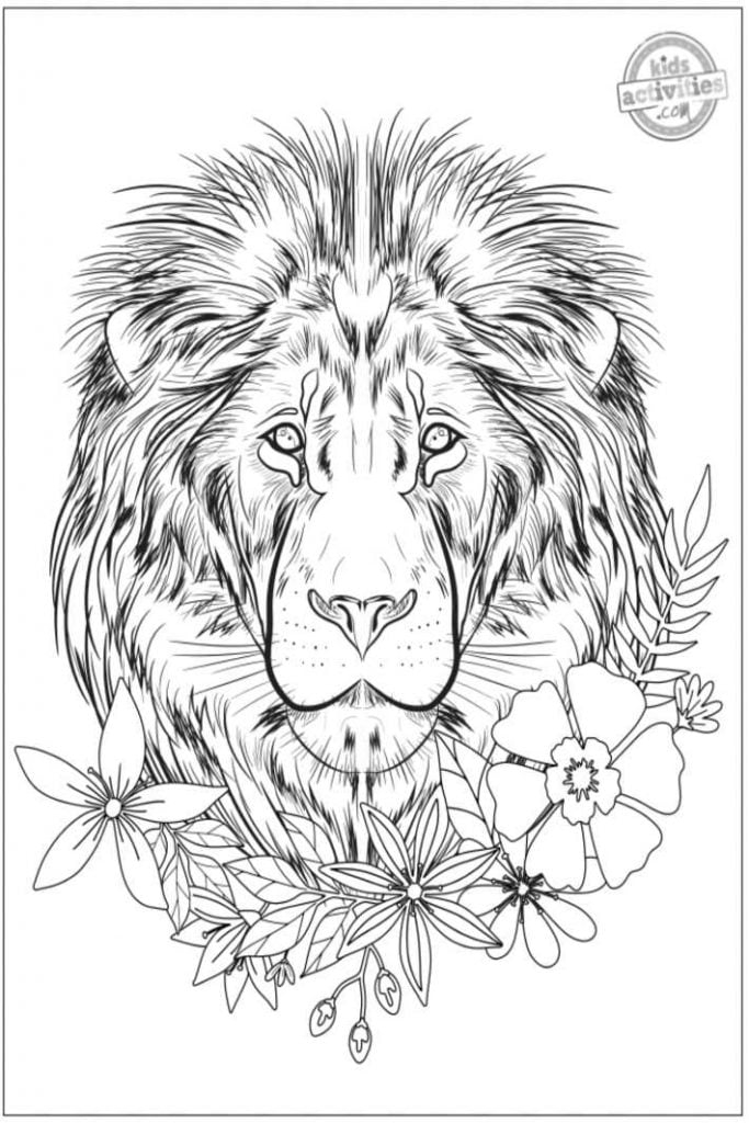 Realistic Animal Coloring Pages Adults Coloring Pages