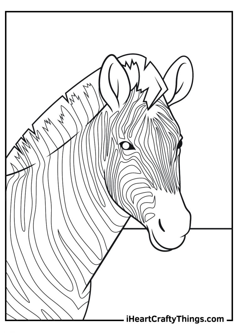 Realistic Animal Coloring Pages Adults Coloring Pages