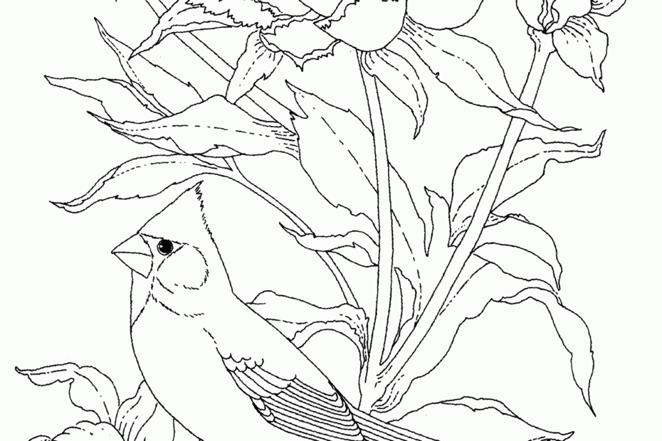 Realistic Bird Coloring Pages Coloring Pages
