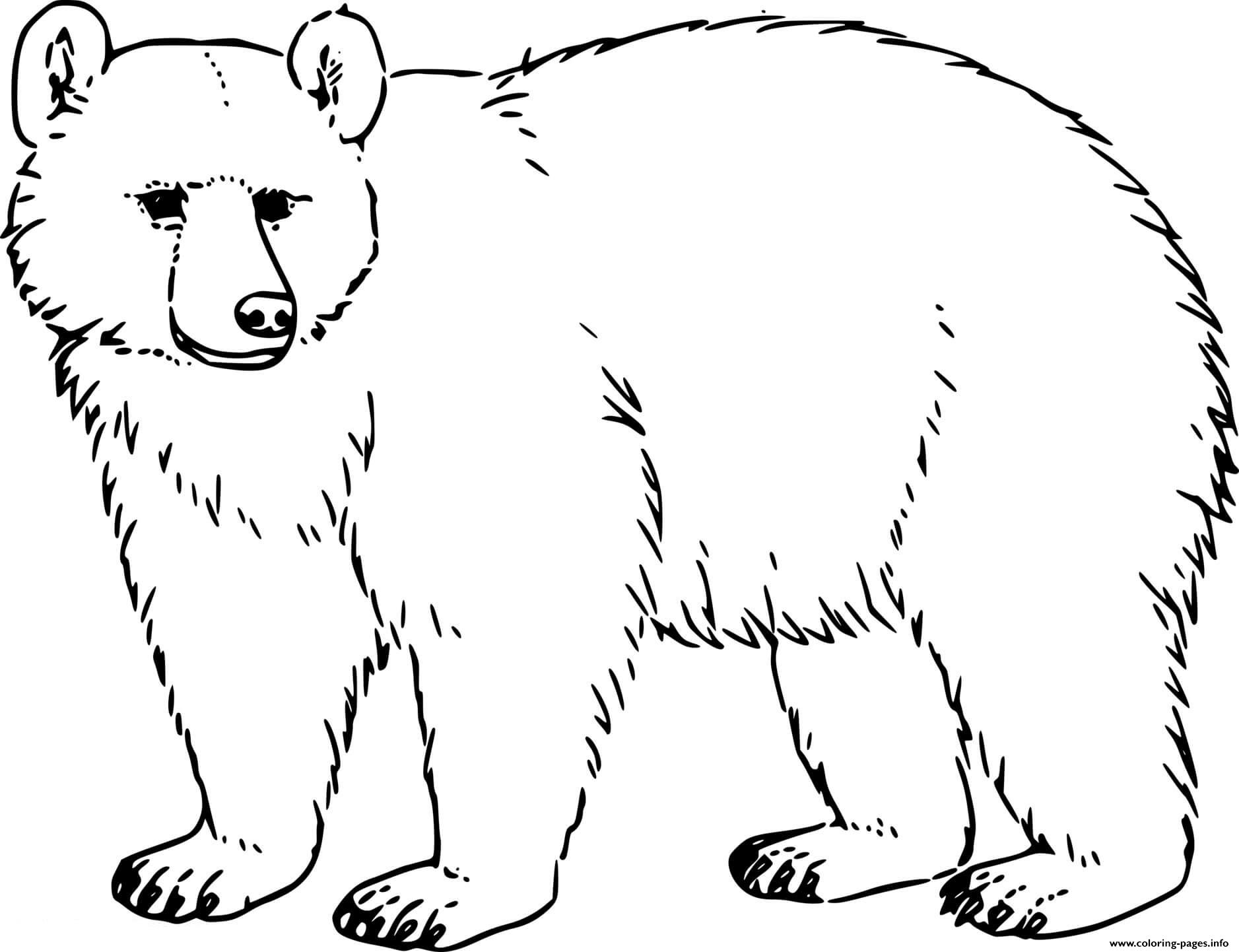 printable coloring bear printable coloring bear
