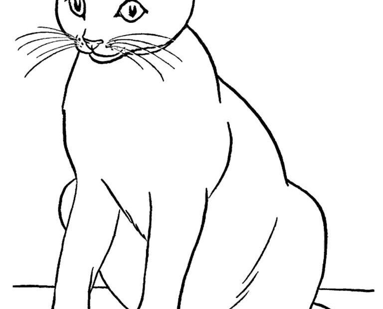 Realistic Black Cat Coloring Pages Free Printable Coloring Pages