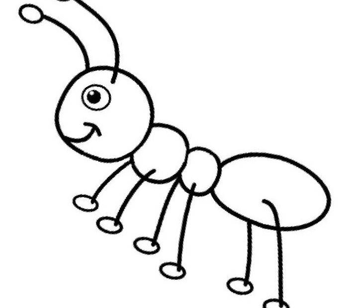 Realistic Bug Coloring Page Free Printable PDF