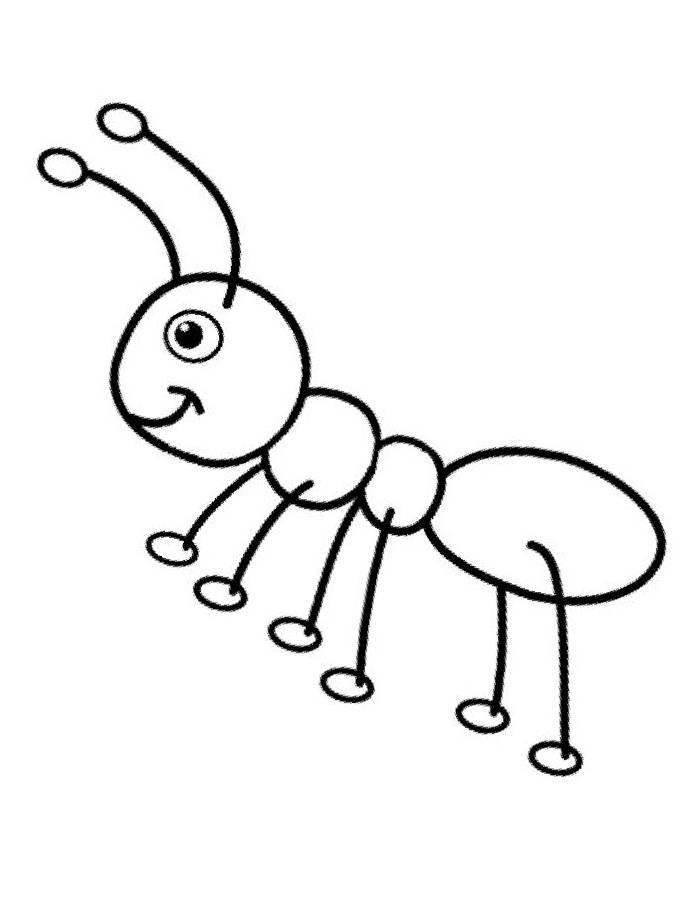 Realistic Bug Coloring Page Free Printable PDF 