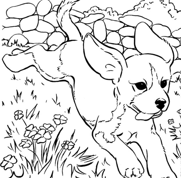 Realistic Coloring Pages Of Dogs At GetDrawings Free Download